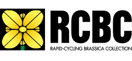 RCBC - Rapid-Cycling Brassica Collection